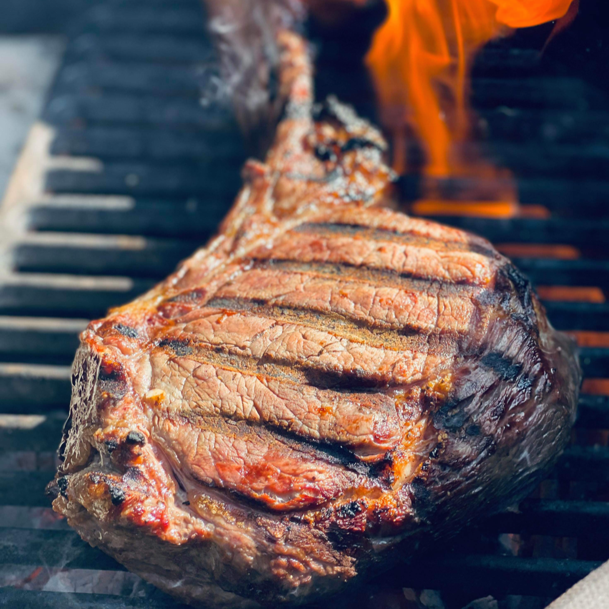 Kæmpe ribeye på ben.