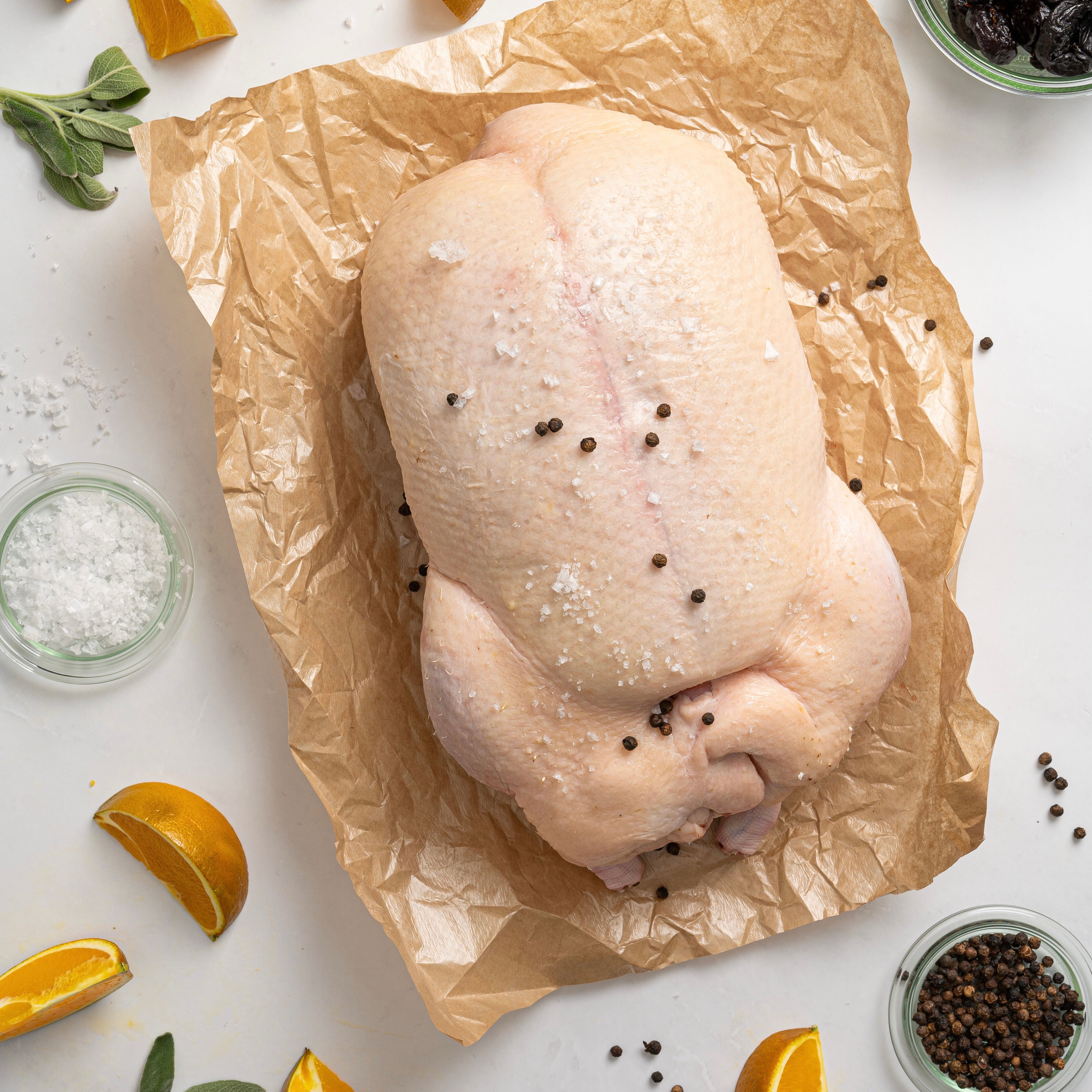 Majsfodret Berberiand fra Bourgogne