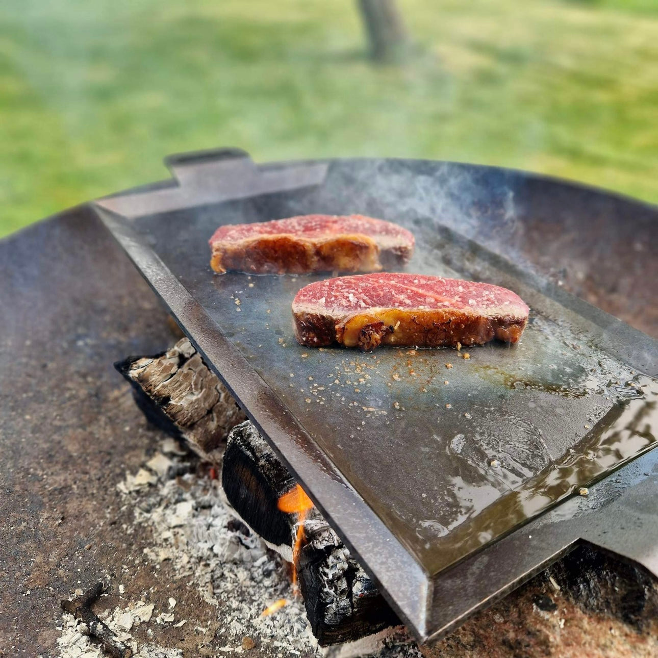 Græsfodret Entrecote Steaks.