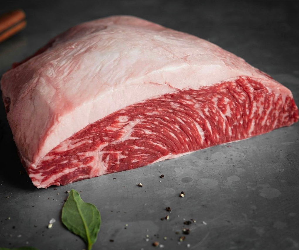 Kornfodret Angus Culotte