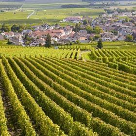 Bourgogne Mystery box.