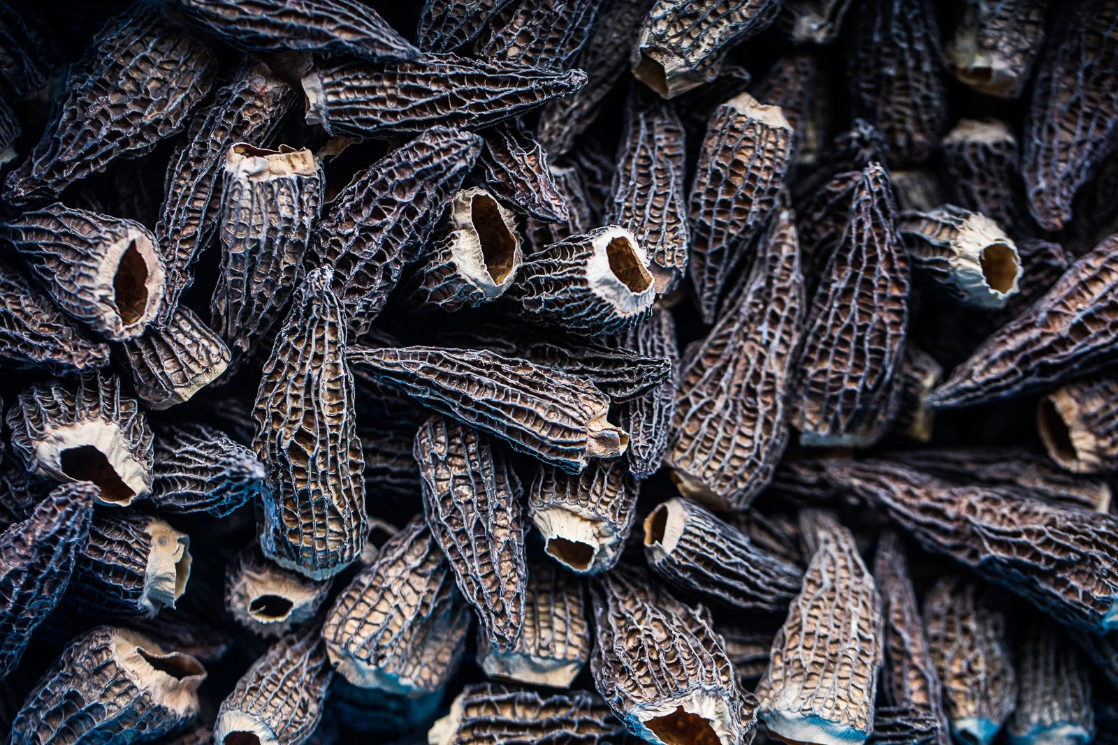 Tørret Classic Morkel 10g