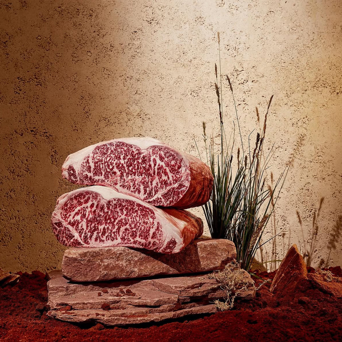 King River Wagyu Shell steak. MBS 8-12