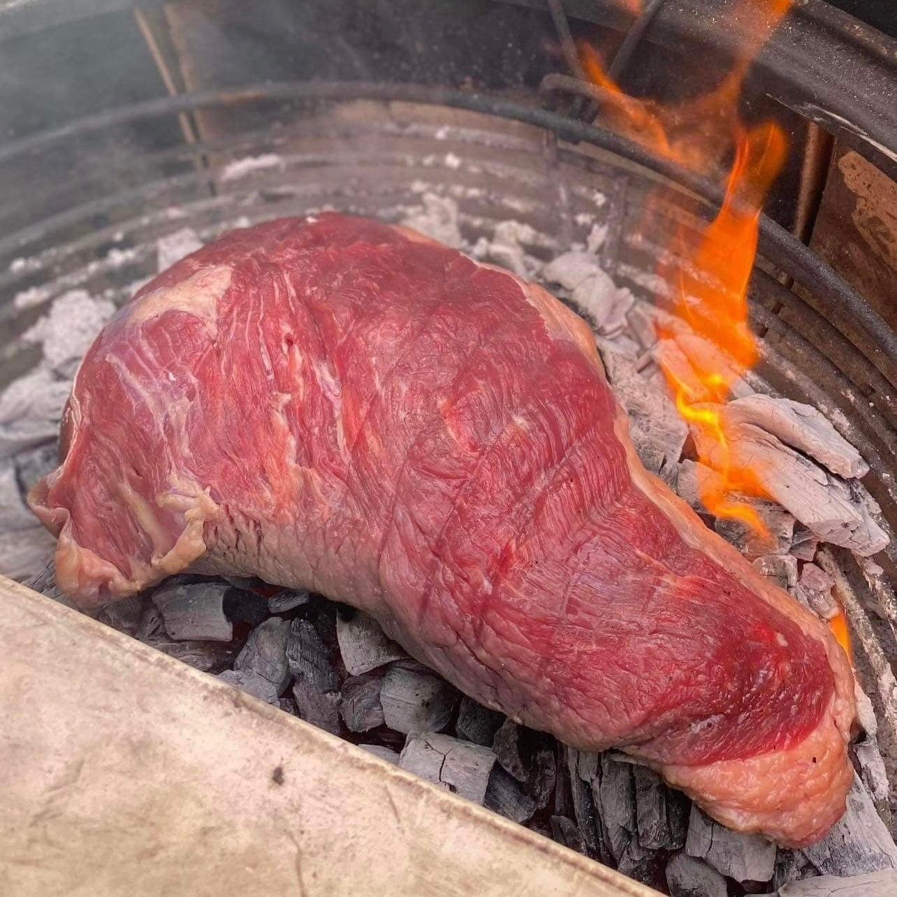 Cuvette af Dansk Jersey