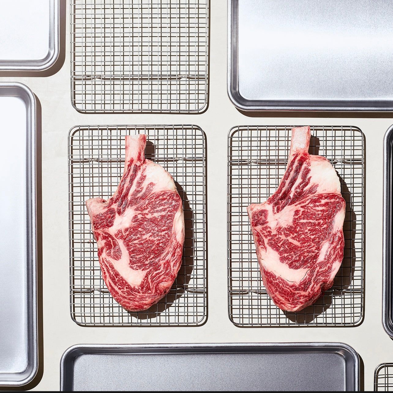Wagyu Cote de boeuf MBS 6-7